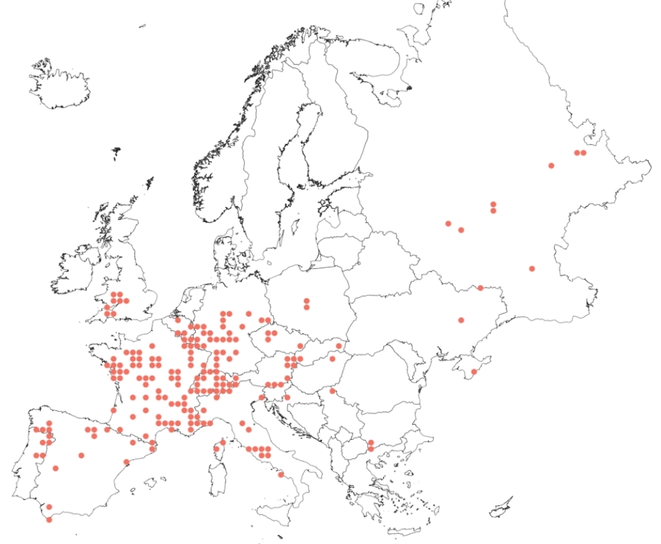 Voorbereidingen voor de Europese Rode Lijst (macro)nachtvlinders